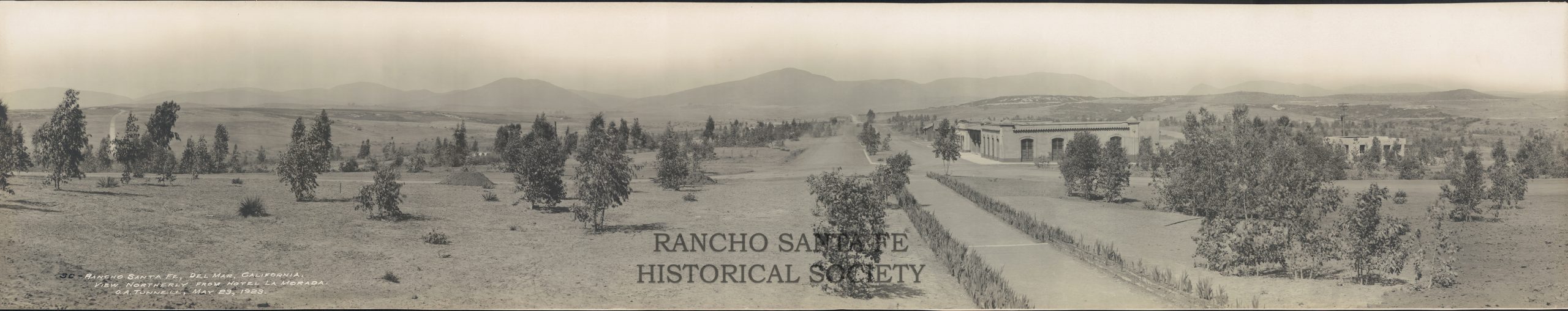 Early Rancho Santa Fe Landscape from Hotel La Morada, c. 1923